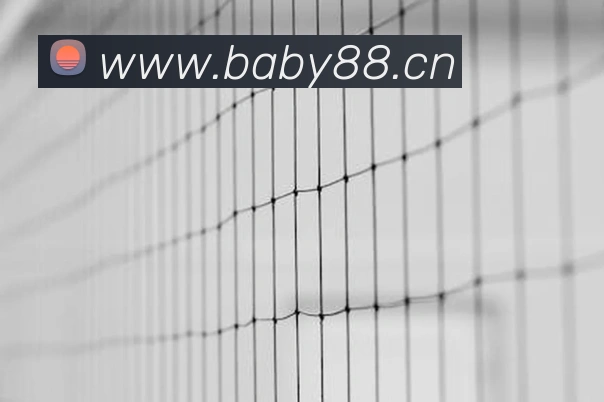 米兰app官网入口服务体系